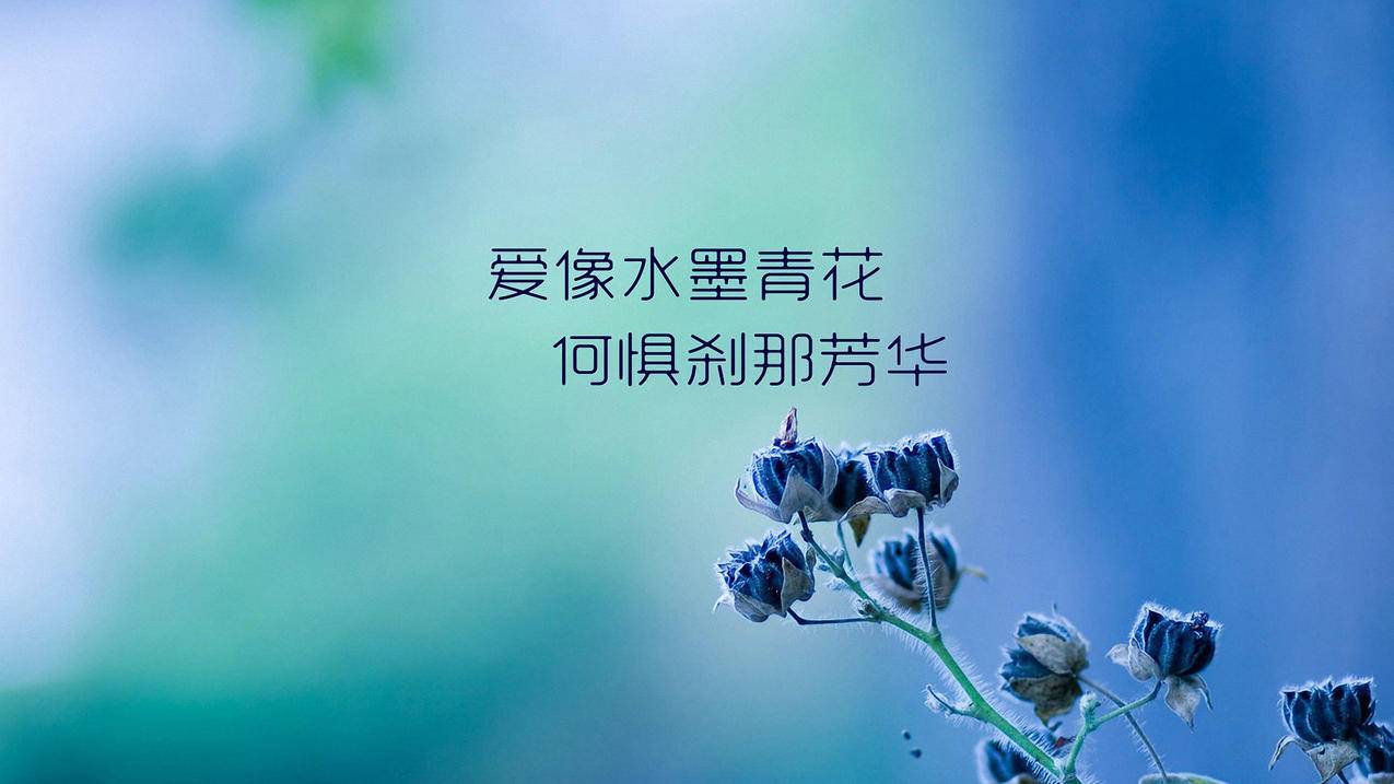 快手刷评论赞的那个软件叫什么-快手业务自助平台,24小时快手刷网站