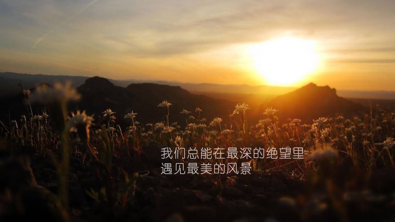 快手代网刷网-抖音业务歌手小龙龙