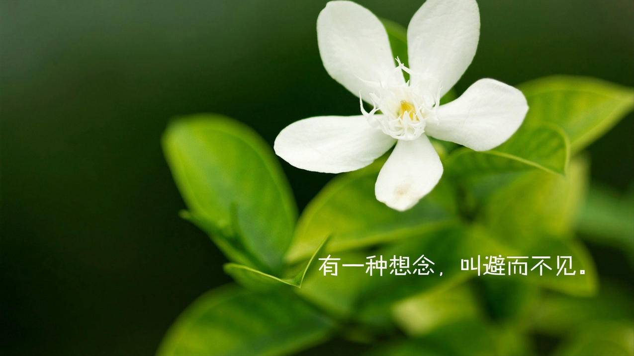 易心网说说赞自助下单