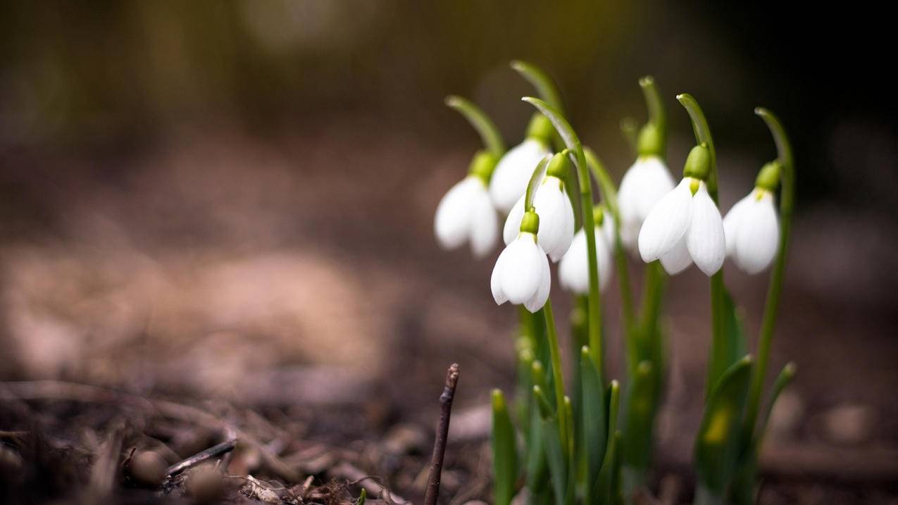 王者荣耀免费领10000赞-全网最低价自助下单平台,全网最低刷qq永久会员