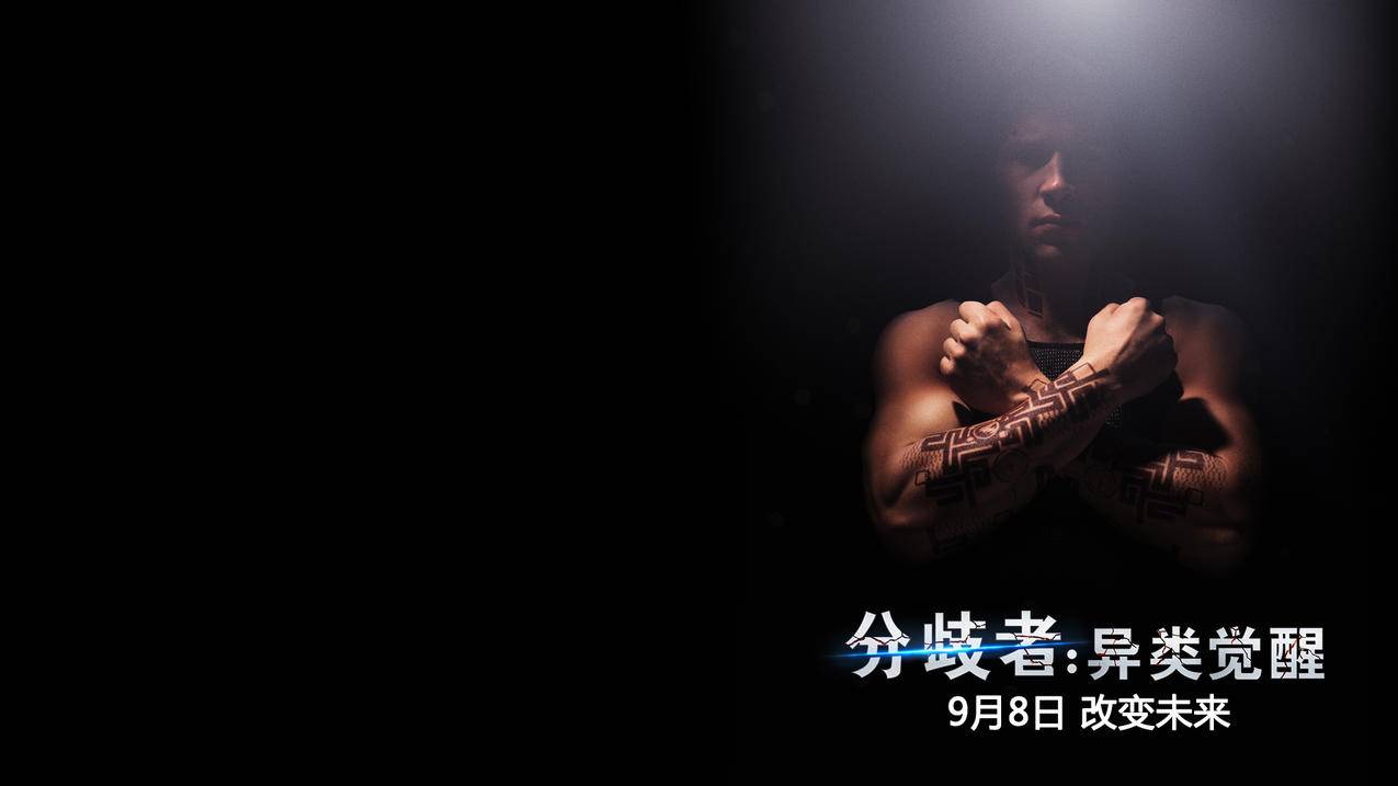 ks代刷网,快手唰粉